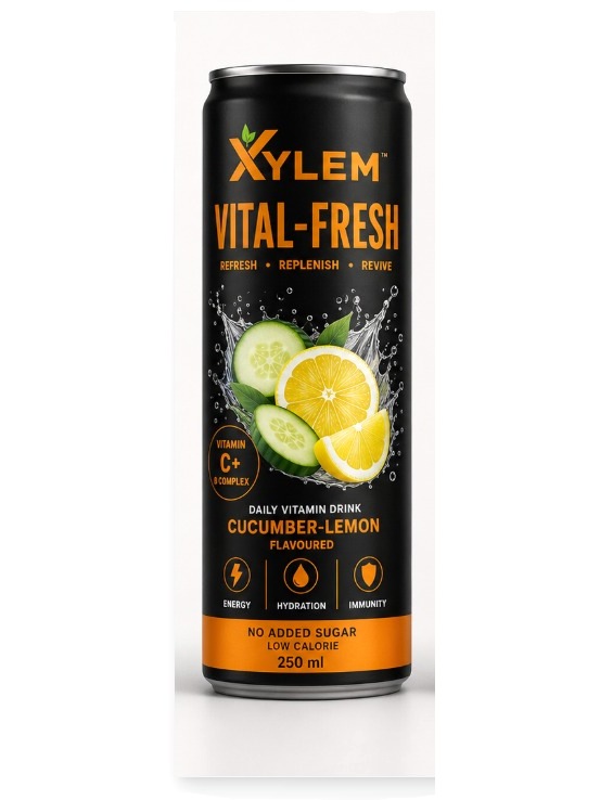 Vital-Fresh Cucumber & Lemon — Noir Can